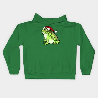 Christmas Toad Kids Hoodie